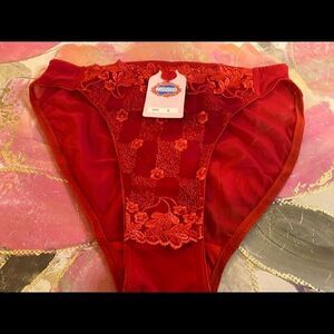 🌺Isabella Embroidery Floral Print Sexy Panties L